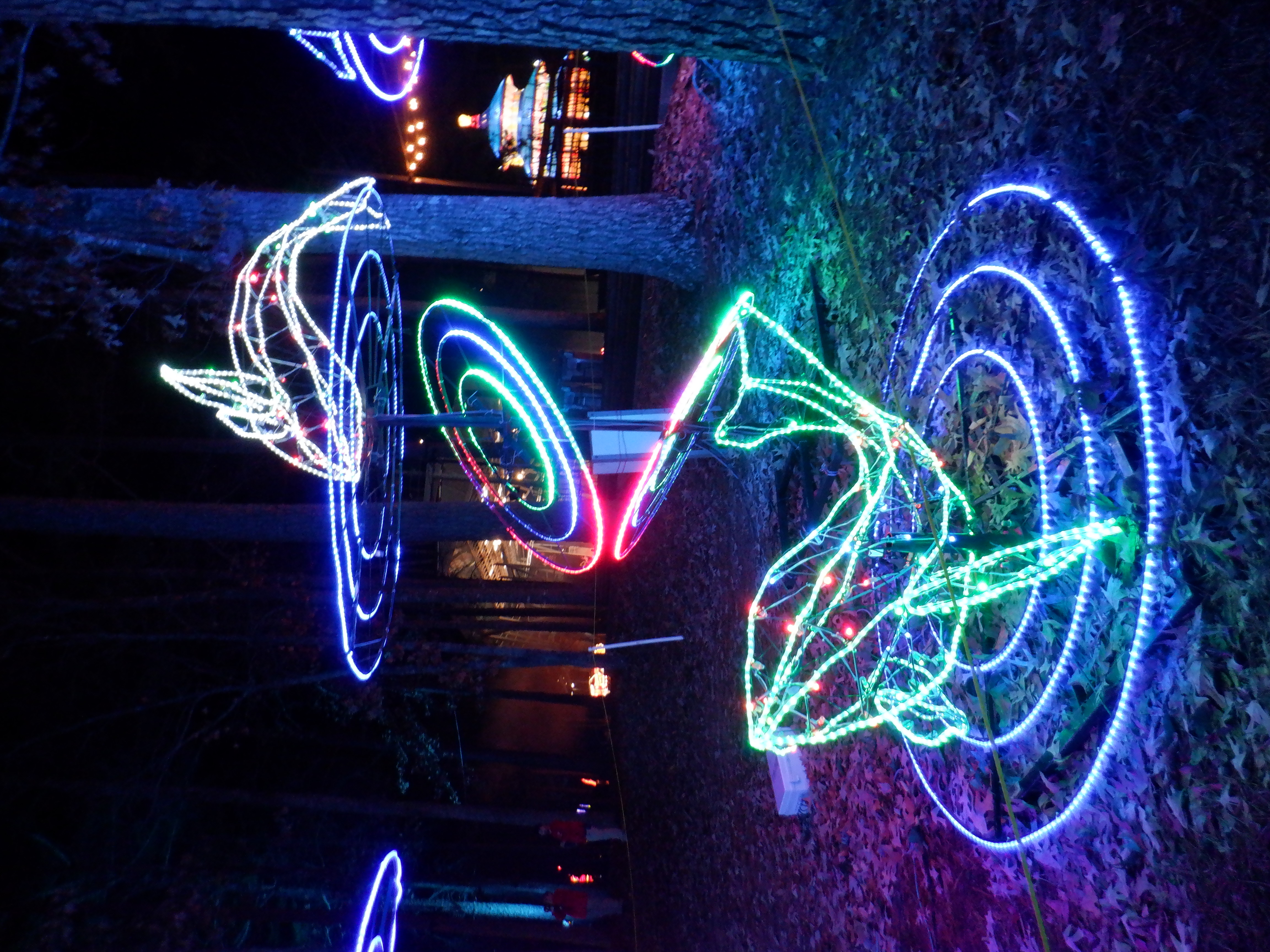 ./2019/16 - Chinese Lantern Festival/DSCF0737.JPG